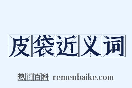 皮袋近义词是什么意思的图片